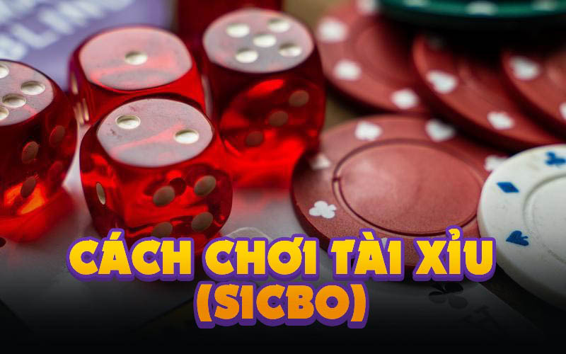 cách chơi sicbo (tài xỉu)