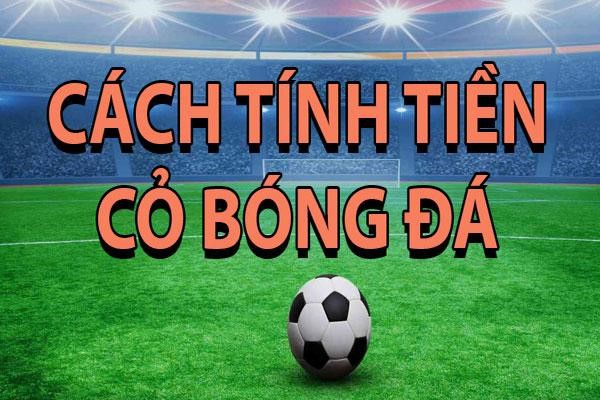 cách tính tiền cỏ trong bóng đá