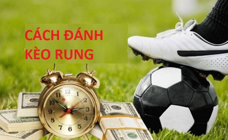 kinh nghiệm cá độ rung