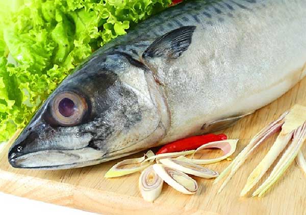 thịt cá sa ba chứa nhiều dinh dưỡng